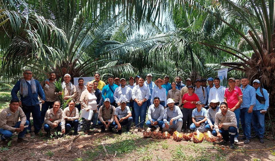 palma_aceite_equipo_trabajo