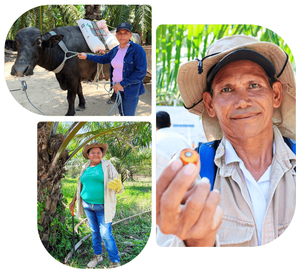 gremca_agriculturasostenible