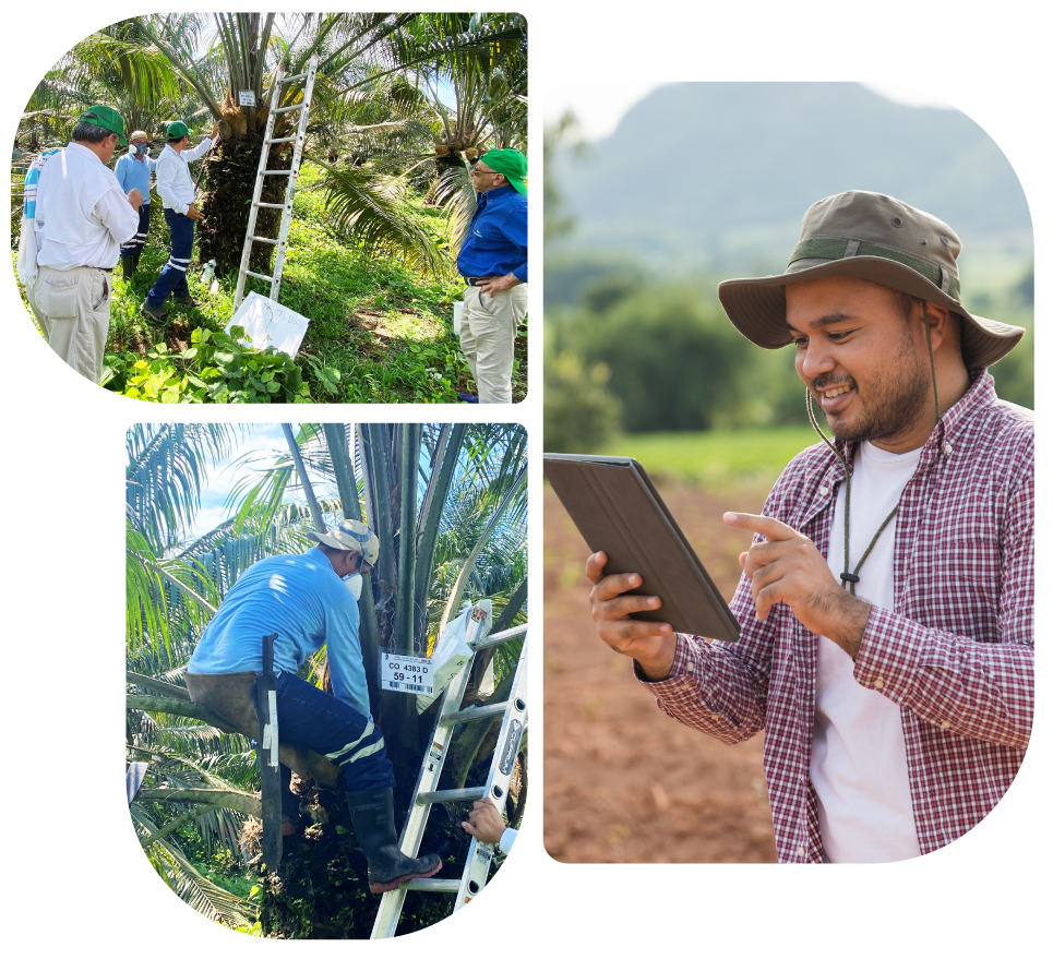 Formulario para denuncias, línea ética Gremca