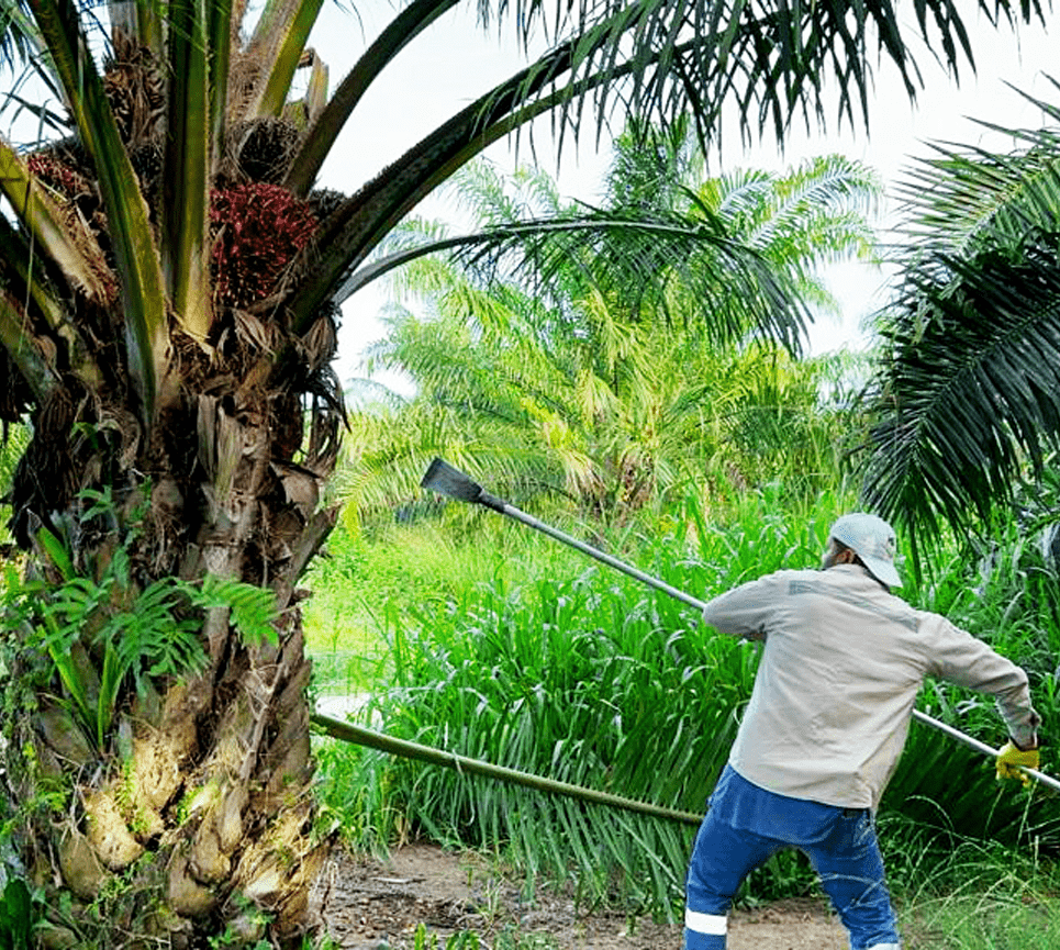 Programa de transparencia y ética empresarial - PTEE