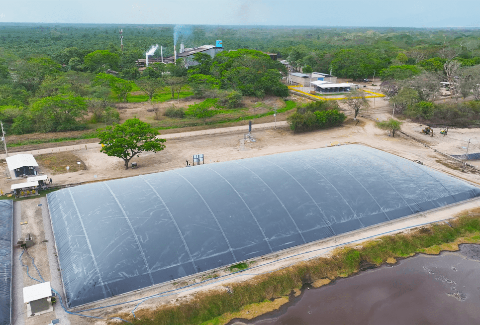 Generación de energía biogas