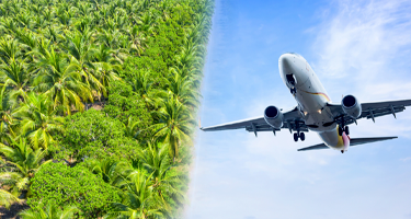 Combustibles de Aviación Sostenibles