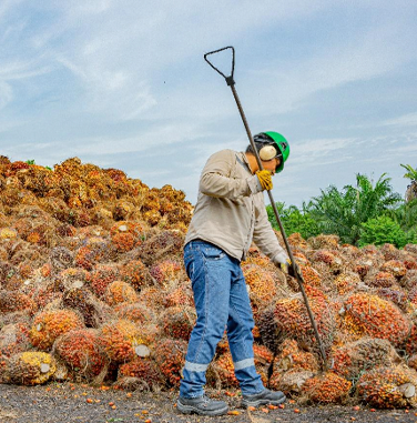 beneficios_socios_trabajadores
