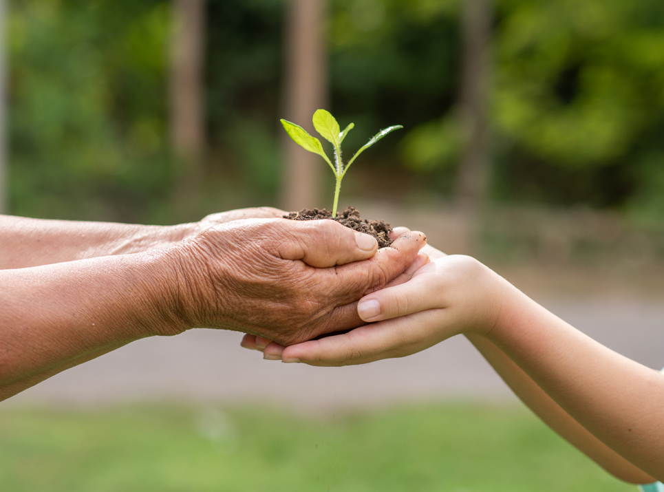 Línea estratégica medio ambiente