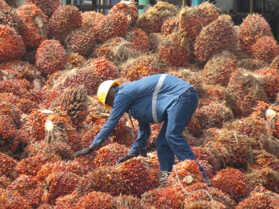 gremca_modelo_de_asociatividad