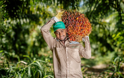 Cuando el sindicato se convirtió en socio: el ejemplo transformador de Gremca