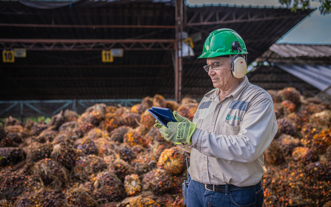 Gremca Agricultura y Energía Sostenible S.A. obtiene certificación ISCC-EUDR