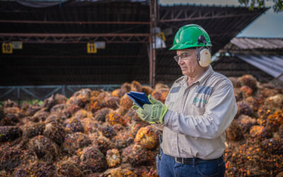 Gremca Agricultura y Energía Sostenible S.A. obtiene certificación ISCC-EUDR